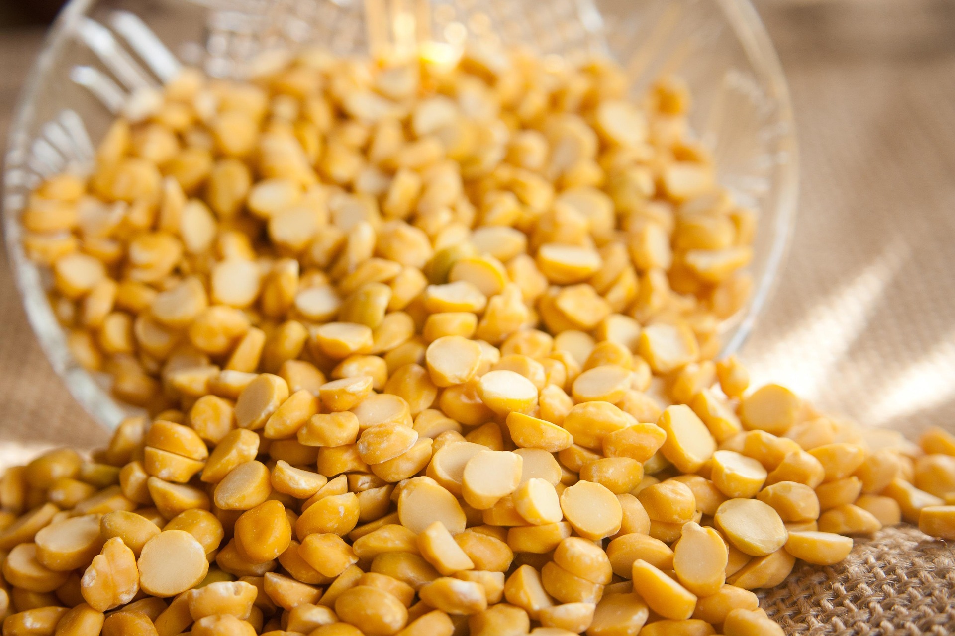Protein Pulses